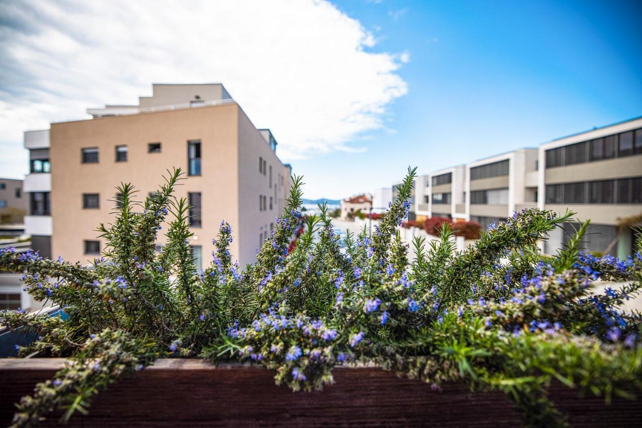Ika Boutique Luxury Apartments Zadar Dış mekan fotoğraf